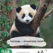 Календарь на 2027 год «Забавные животные» настенный, на скрепке