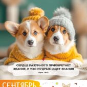 Календарь на 2027 год «Забавные животные» настенный, на скрепке