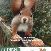 Календарь на 2027 год «Забавные животные» настенный, на скрепке