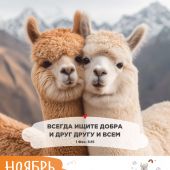 Календарь на 2027 год «Забавные животные» настенный, на скрепке