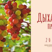 Календарь-домик на 2027 год «Дыхание природы»