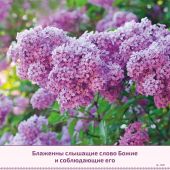 Календарь на 2027 год «Слово Божье в каждый дом» 6 листов, большой, настенный, на спирали