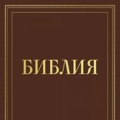 Библия каноническая в русском синодальном переводе с полями для записей (коричневая, рамка)