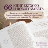 Библия каноническая в русском синодальном переводе с полями для записей (коричневая, рамка)