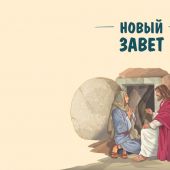 Фото к позиции 