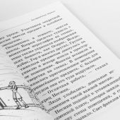 Белградская мумия. Повесть для детей (Современная сербская литература)