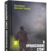 В православие стоит вдуматься. Случаи из практики. Проповеди. Выборки из дневников