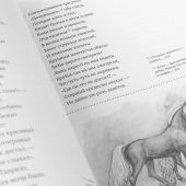 Конёк-Горбунок: сказка с комментариями профессора А.Н. Ужанкова