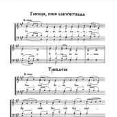 Литургия св. Иоанна Златоуста в духе древних распевов. Для 2-х голосов