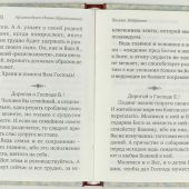 Письма. Избранное