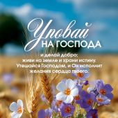 Календарь карманный на 2027 год в ассортименте (Послание доброты)