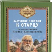 Насущные вопросы к старцу По трудам архимандрита Иоанна (Крестьянкина)