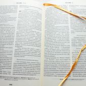 Библия с неканоническими книгами 075 DC (синяя)