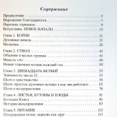 Дерево обновленной жизни
