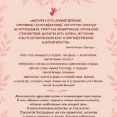 Фото к позиции 