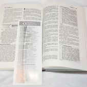 Учебная Библия для молодежи. Новый Завет