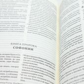 Библия каноническая 033 (1996 г. тв. пер., карм. формат)
