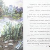 Алишева А. Приключения мышонка. Поляна лесника