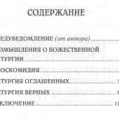 Размышления о Божественной Литургии (Белорусская Православная Церковь)