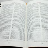 Библия с неканоническими книгами 077 DC TI (зеленая, краевые указатели, гибкий переплет)