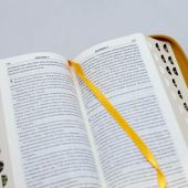 Библия каноническая 045 УZTIC (светло-коричневый, экокожа, золотой обрез, на молнии)