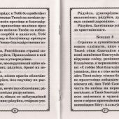 Акафист Пресвятой Богородице пред иконой Казанская