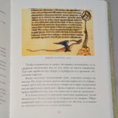 Фото к позиции 5