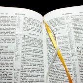 Библия каноническая 048 zti код 11.1 (зол. фол. сердце и крест,молн.,индекс,кож,бел. цв., зол. обрез)