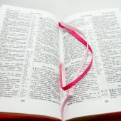 Библия каноническая 048 zti код 14.3 (сердце из цв.,молн.,индекс,винил,розовый цв., золот. обрез)