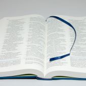 Библия в современном русском переводе. 073 (Синий переплет)