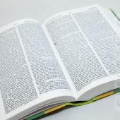 HOLY BIBLE. Revised standard version 043
