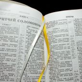 Библия каноническая 048 zti код 21.0 («Я люблю Библию», молн.,индекс,кожа, бел. цв., золот. обрез)