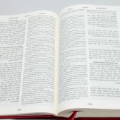 Библия на еврейском и современном русском языках 073 (бордо)