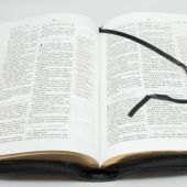 Новая учебная Библия Томпсона 077 ZTI (черная, кожа, молния, указатели, 180*245 мм)