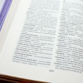 Библия каноническая 045 ZJW (фиолетовая, искусств. кожа с выпуклым тиснением, золот. обр., молния)