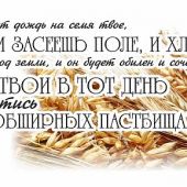 Кружка сувенирная Пшеница (К-144)
