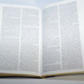 Библия каноническая 045 DT (120х165 мм, гибкий пер. из искусств. кожи, зол. обрез., ред. 2003 года)