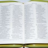 Библия в современном русском переводе. 067 ZTI (зеленый кожаный переплет с молнией и индексами)