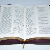 Библия в современном русском переводе. 067 Z (темно-коричневый кожаный переплет с молнией)