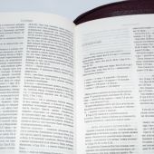 Библия в современном русском переводе. 067 Z (темно-коричневый кожаный переплет с молнией)