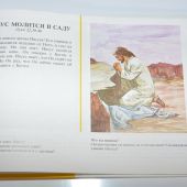 Библия в картинках (25*17,5 см) твердый переплет
