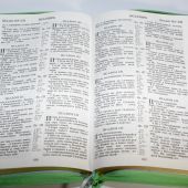Библия каноническая (Виссон, благоволение, зелен.сирен., термовинил, молн., инд, зо, V16-072-24z)