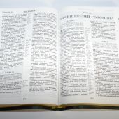 Библия каноническая (Виссон, древо жизни, зелен., термовинил, инд, зол. обр, V16-072-11)