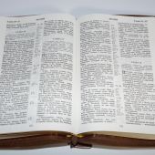 Библия каноническая (Виссон, коричневый, термовинил, молн., инд., зол. обр. V16-072-28z)