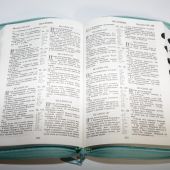 Библия каноническая (Виссон, рыбки, бирюзовый, кожа, на молнии, инд., серебр. обр. V16-077-03z)