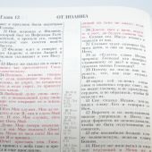 Библия каноническая (Виссон, терновый венец, светло-коричн., термовинил, молн., инд., V16-072-17z)
