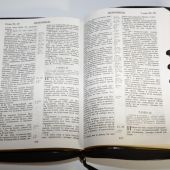 Библия каноническая (Виссон, черная, термовинил, молн., инд., зол. обр. V16-072-27z)
