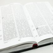Библия подарочная больш. ф. (кожан. переплет, серебр. обрез, 16*24 см) (Никея)