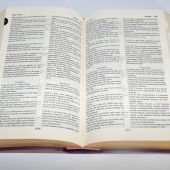 Библия англо-русская параллельная (фиолетовая, с индексами, кожа, зол.обрез)