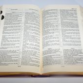 Библия англо-русская параллельная (фиолетовая, с индексами, кожа, зол.обрез)